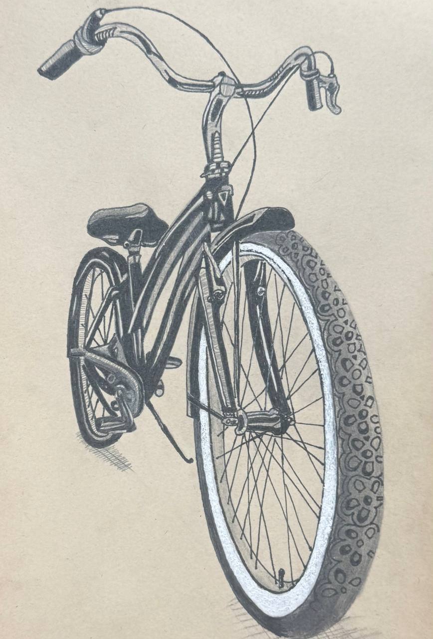 آموزش نقاشی سیاه قلم سمیرا مهربانی